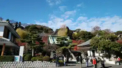 長谷寺(神奈川県)
