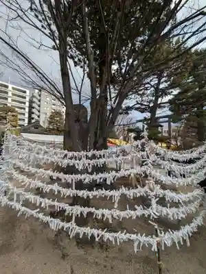 四柱神社(長野県)