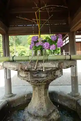 善峯寺の手水舎