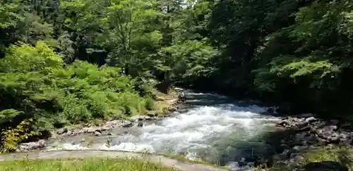 諏訪大社下社春宮の自然