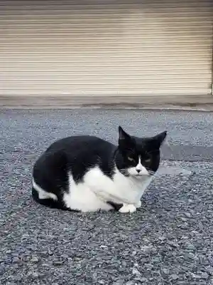 白金氷川神社(東京都)
