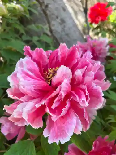 薬師院(兵庫県)