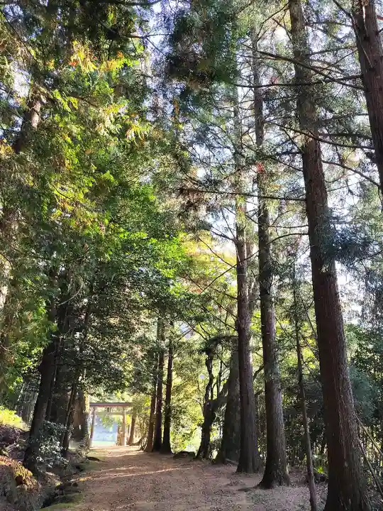 質美八幡宮(京都府)
