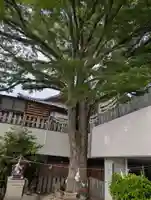 出雲大社美作分院(岡山県)