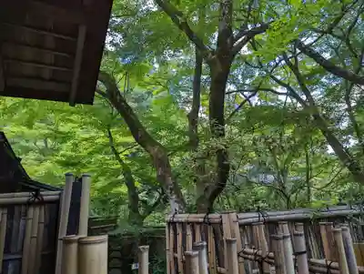 来迎院(京都府)