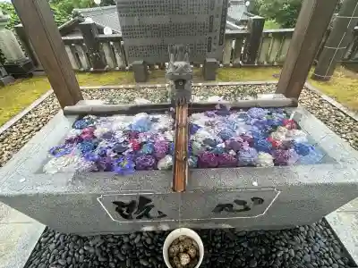 粟井神社(香川県)