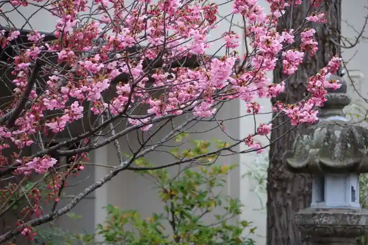 阿邪訶根神社の自然