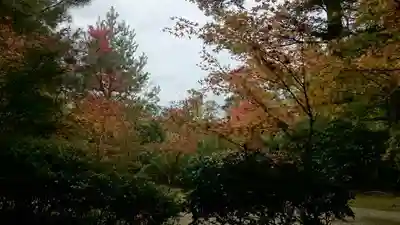 滝口寺のその他建物