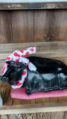 安楽寺(三重県)