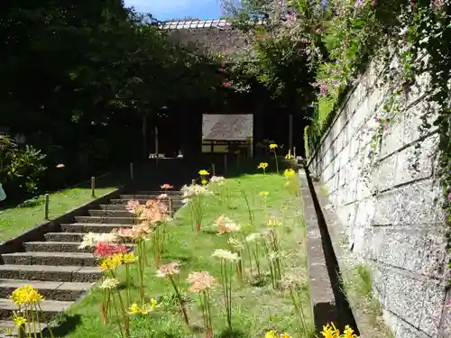 横浜　西方寺の山門