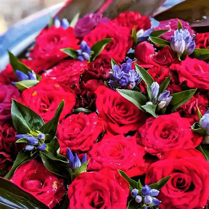 札幌護國神社の手水舎