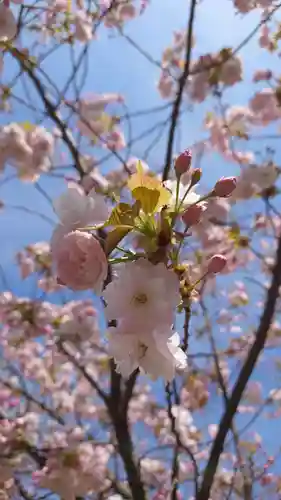 相馬神社(北海道)