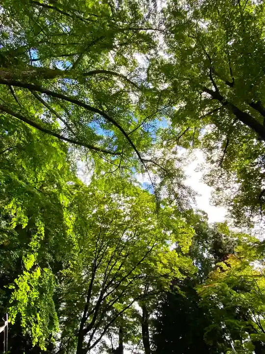 手長神社の自然