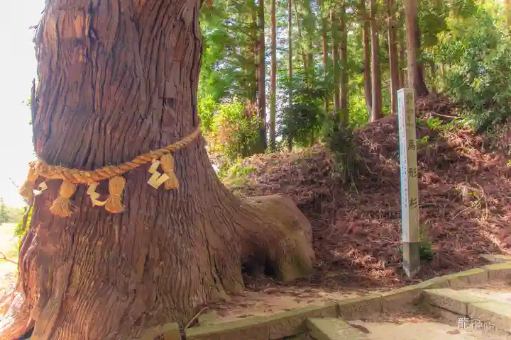 大崎八幡神社(宮城県)