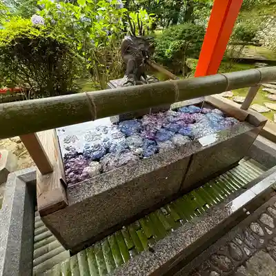 熊野那智大社(和歌山県)