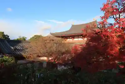 平等院のその他建物