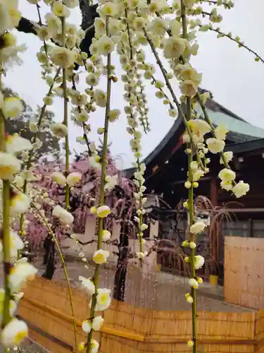 結城神社の庭園