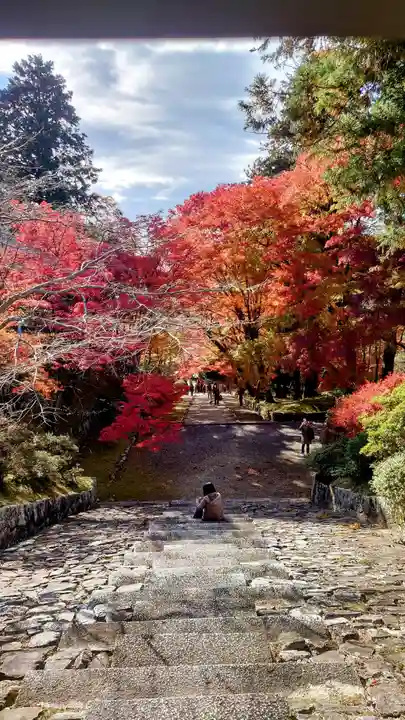 毘沙門堂門跡(京都府)