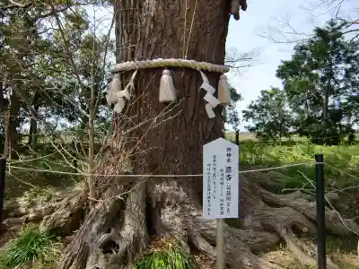 白子神社のその他建物