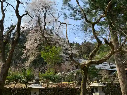 華厳寺の自然