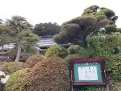 西林寺の建物その他