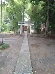 日枝神社の鳥居