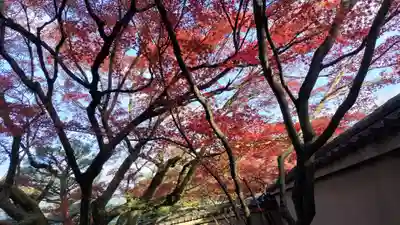 養徳院(京都府)
