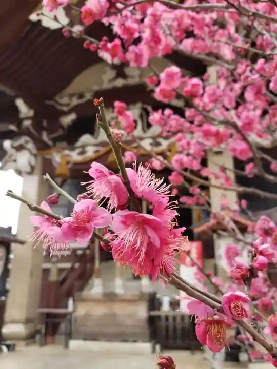 諏訪神社(東京都)
