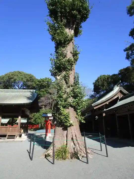 宗像大社中津宮(福岡県)