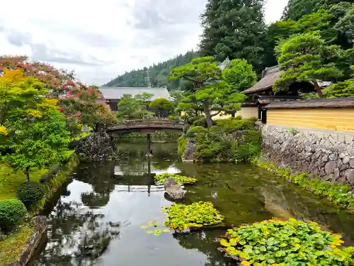 禅昌寺の庭園