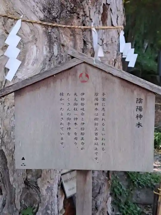 山名八幡宮(群馬県)