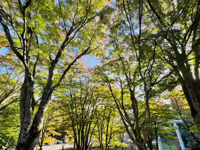 土津神社｜こどもと出世の神さま(福島県)