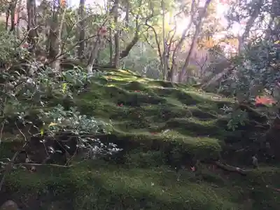 慈照寺（慈照禅寺・銀閣寺）のその他建物