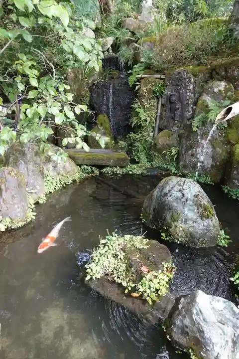 宝泉院の庭園