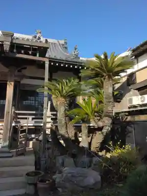 長光寺の本殿・本堂