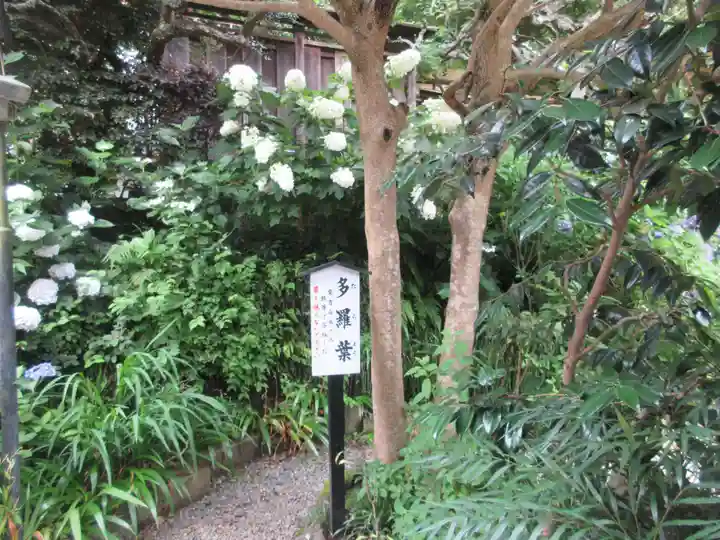 円覚寺(神奈川県)