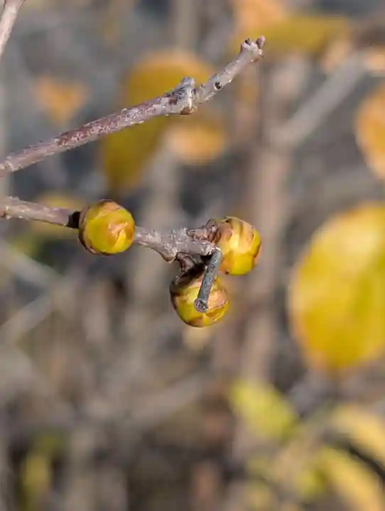寳幢院(東京都)