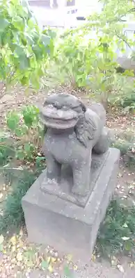 越谷香取神社の狛犬