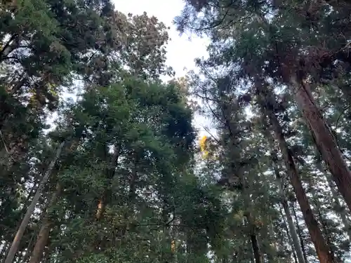 大宮温泉神社の自然