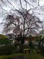 最勝寺(東京都)