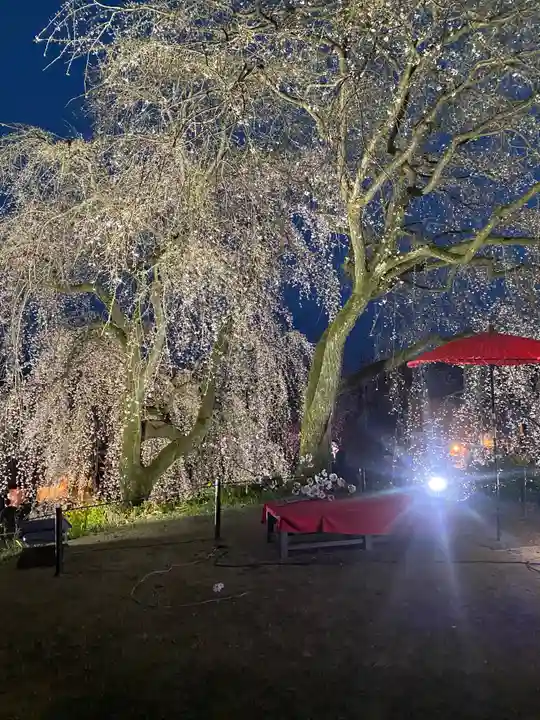 本佛寺別院 法華原の自然