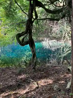 丸池神社(山形県)