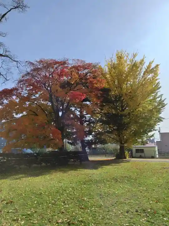 厚別神社(北海道)