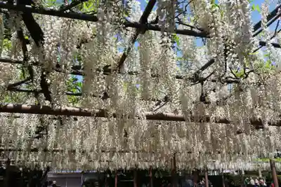 曼陀羅寺(愛知県)