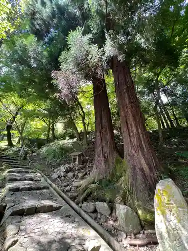 長谷寺(奈良県)