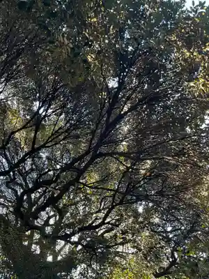 太子堂八幡神社(東京都)