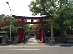 彌彦神社　(伊夜日子神社)の鳥居