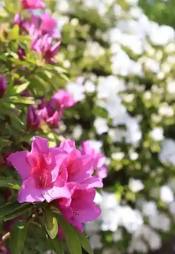 西大寺(奈良県)