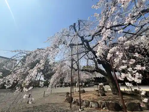 道成寺(和歌山県)