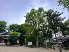 櫛玉比女命神社(奈良県)